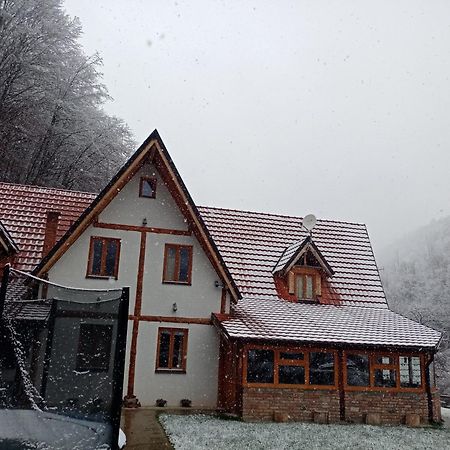 Staroplaninski Apartments Crni Vrh Zewnętrze zdjęcie