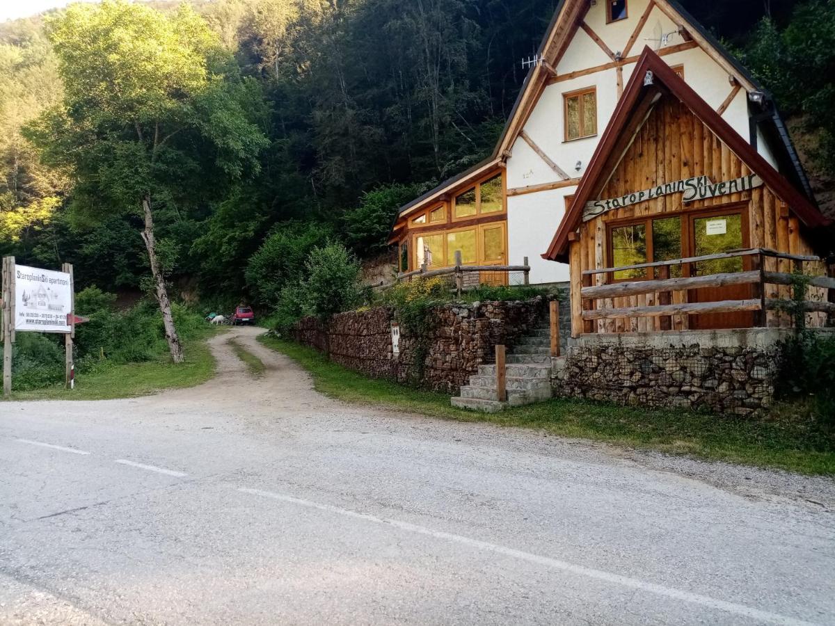 Staroplaninski Apartments Crni Vrh Zewnętrze zdjęcie