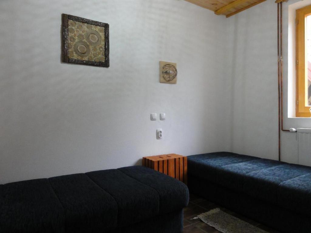 Staroplaninski Apartments Crni Vrh Zewnętrze zdjęcie