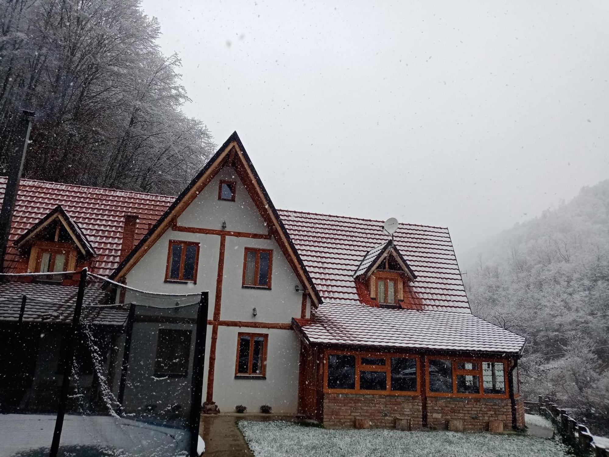 Staroplaninski Apartments Crni Vrh Zewnętrze zdjęcie