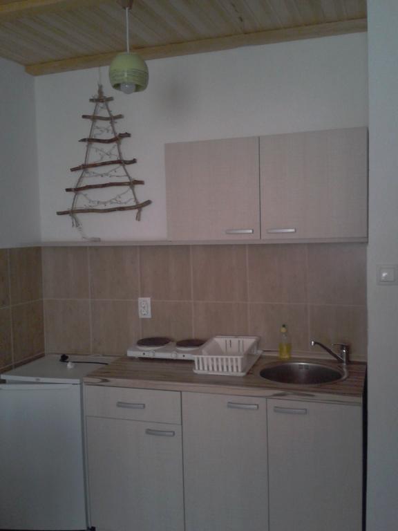 Staroplaninski Apartments Crni Vrh Zewnętrze zdjęcie