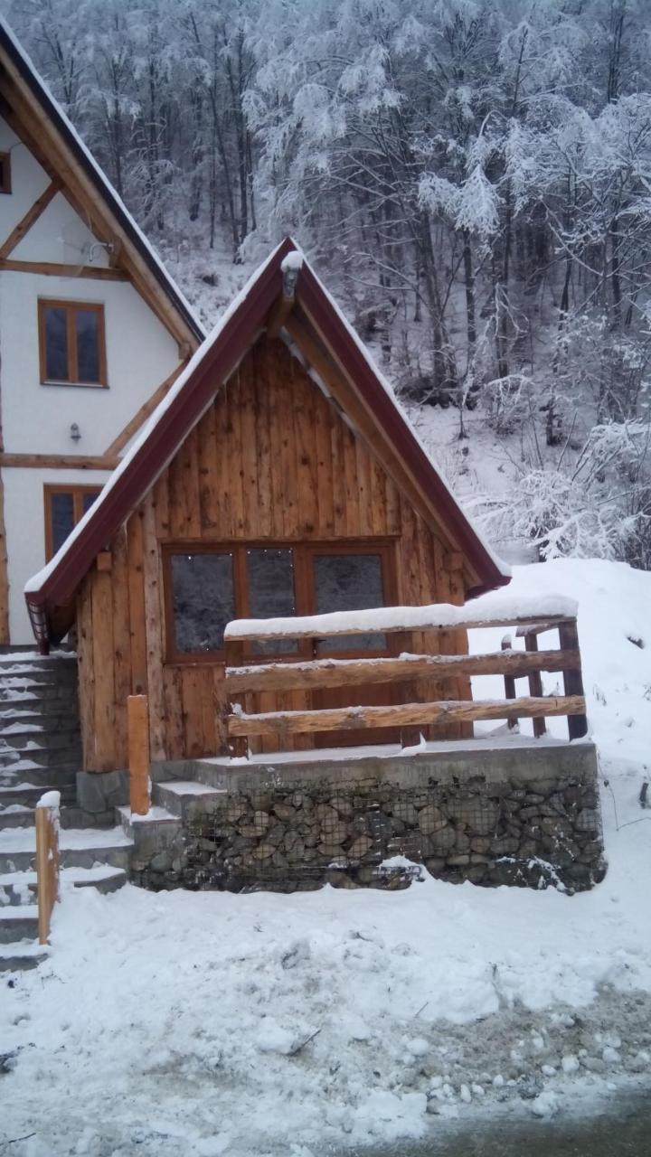 Staroplaninski Apartments Crni Vrh Zewnętrze zdjęcie